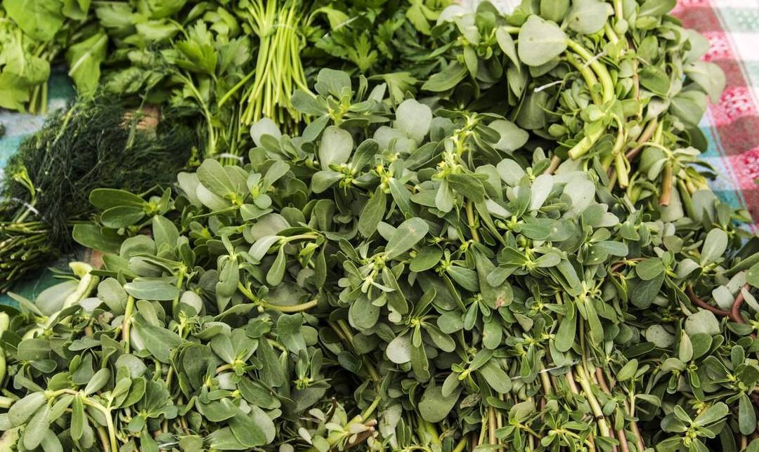 Bất ngờ loại rau dại là vị thuốc trường thọ, vitamin dưỡng da Bat ngo loai rau dai la vi thuoc truong tho, vitamin duong da