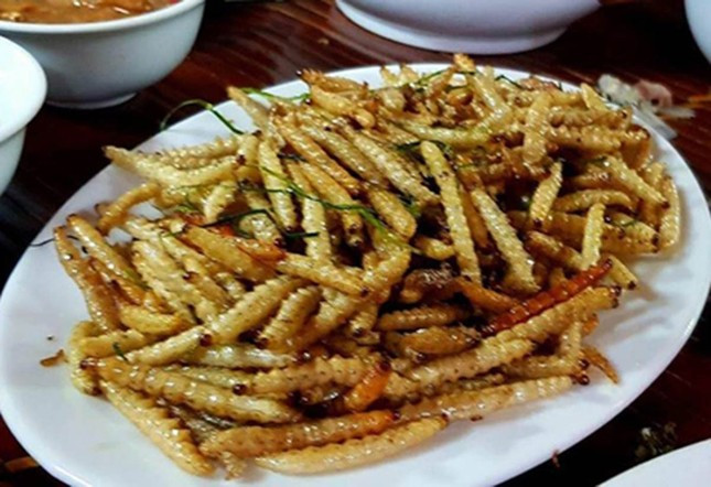 Nhung loai sau bo dat do duoc thuc khach san lung-Hinh-2