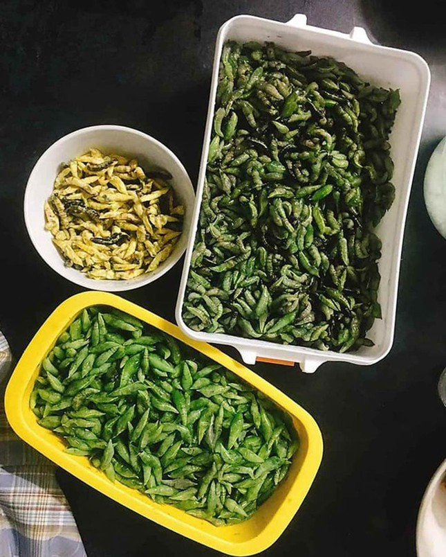 Nhung loai sau bo dat do duoc thuc khach san lung-Hinh-4