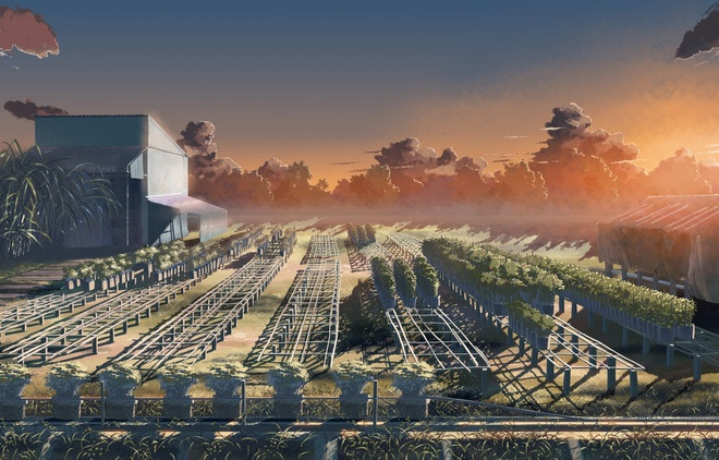 "Những bức tranh được thực hiện bằng kỹ thuật số trên các phần mềm máy tính. Trung bình mỗi bức tranh mình vẽ khoảng 8 tiếng, có bức phải vẽ cả tuần. Khoảng hơn 1 tháng mình mới có thể hoàn thành một bộ hoàn chỉnh", nam sinh cho biết.