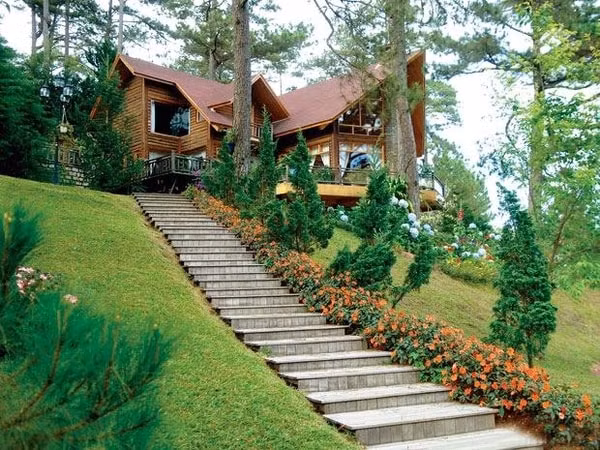 Nhà có nhiều xanh, quanh năm xanh tốt. Cây cối luôn tuân theo một quy luật phát triển nhất định (đâm chồi, nảy lộc – rụng lá). Nhưng nếu cây trong nhà bạn hoặc cây ngoài sân rụng lá, khô héo vào mùa thu muộn hơn những cái cây khác. Đến mùa xuân, cây lại ra lộc, nảy chồi sớm hơn chứng tỏ ngôi nhà bạn tràn đầy linh khí và sức sống.