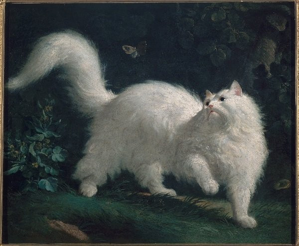 Tuổi Mão: Đề phòng tiểu tam. Tử vi nói rằng tuổi Mão đang rơi vào chuỗi ngày thăng trầm khá dài trong chuyện tình cảm. Dù độc thân hay đã có gia đình, con giáp này đều chịu ảnh hưởng ít nhiều.