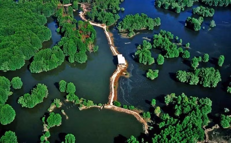 TP.HCM dinh huong 4 huyen len thanh pho, 1 huyen len quan