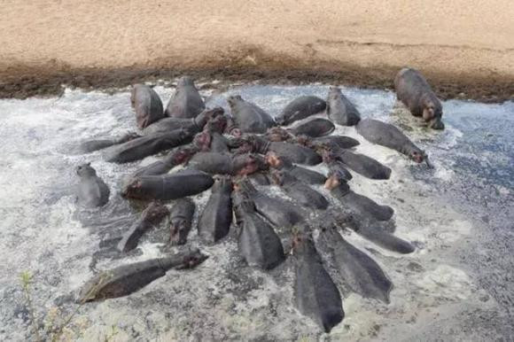 Du ha ma co dang yeu den dau, van la nhung ke giet nguoi dang so!-Hinh-3