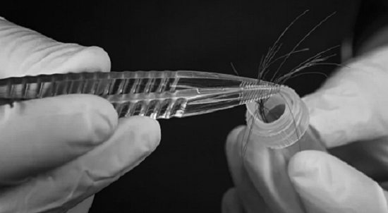 Những bí mật động trời trong phòng xét nghiệm ADN ảnh 1