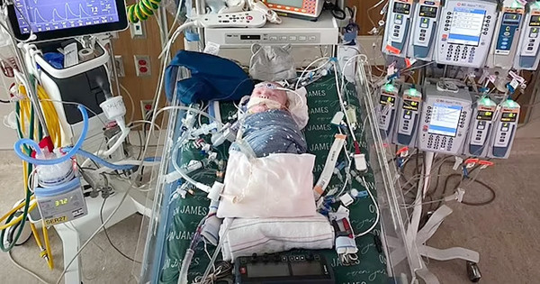 Bệnh nhân đầu tiên trên thế giới được ghép tim từ mô sống Benh nhan dau tien tren the gioi duoc ghep tim tu mo song