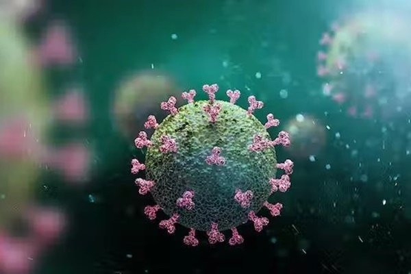 Anh, My canh bao bien chung COVID-19 la BA.4.6 lan nhanh