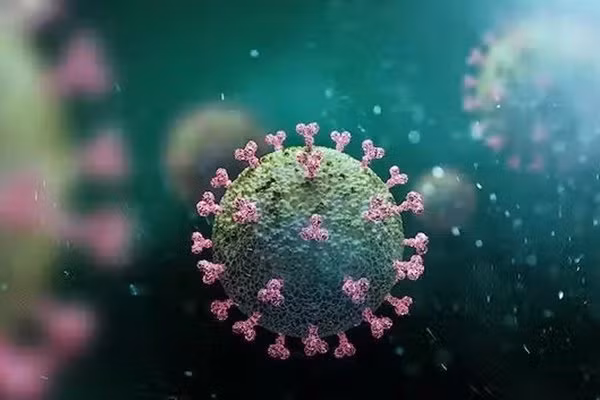 Anh, Mỹ cảnh báo biến chủng COVID-19 lạ BA.4.6 lan nhanh Anh, My canh bao bien chung COVID-19 la BA.4.6 lan nhanh