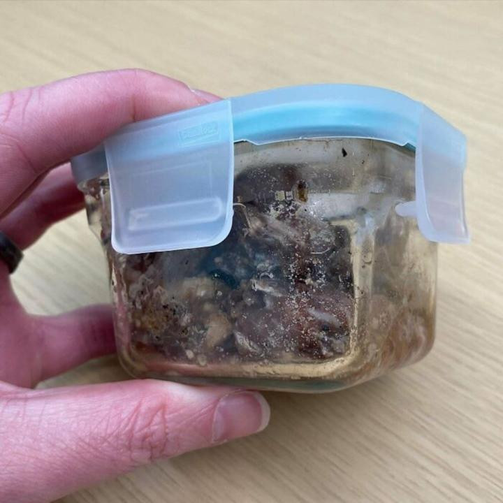 ộp đồ ăn để quên sương sương từ mùa dịch và đây là hình dạng của nó khi được "khai quật".