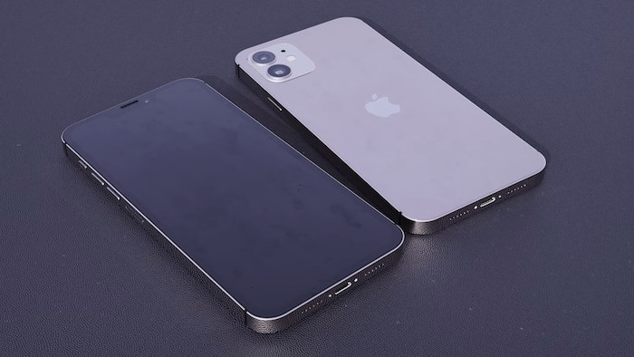 Mặt sau là camera kép kèm đèn flash L.E.D và logo quả táo nằm giữa máy, không quá khác biệt với iPhone 11. (Ảnh: LetsGoDigital x Concept Creator)