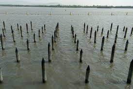 Gắn với các chiến thắng huyền thoại trên sông Bạch Đằng, các bãi cọc gỗ đã trở thành thứ vũ khí huyền thoại của người Việt. Lần đầu tiên, những chiếc cọc gỗ chôn vùi quân xâm lược là vào năm 938, khi vua Nam Hán phái thủy quân tràn vào nước ta qua ngả sông Bạch Đằng. Lần thứ 2 là vào năm 1288, khi danh tướng Trần Hưng Đạo áp dụng trận địa cọc ngầm của Ngô Quyền 350 năm trước để đại phá đạo thủy binh hùng mạnh của quân Nguyên.