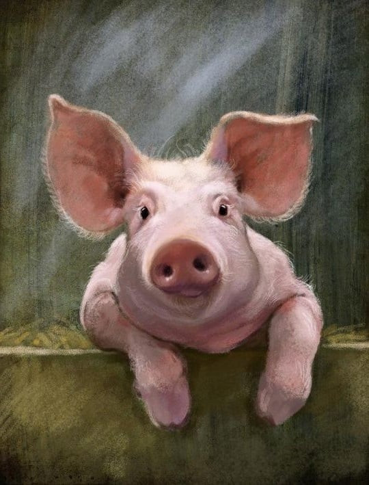 Tử vi dự báo rằng trong tháng 7 âm lịch, tuổi Hợi là một trong những con giáp giàu sang tột đỉnh. Con giáp này làm gì cũng suôn sẻ, cơ hội kiếm tiền tìm đến tận cửa.