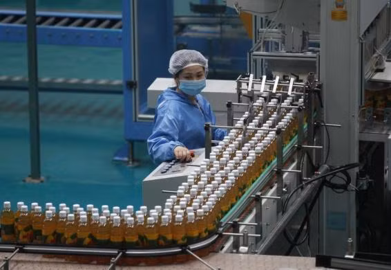 Một công nhân Triều Tiên vận hành dây chuyền sản xuất tại một nhà máy chế biến nước ép trái cây ở ngoại ô Bình Nhưỡng.