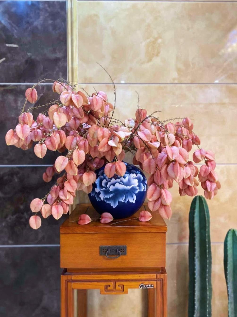  Cây cảnh này còn tượng trưng cho lòng chung thuỷ, lòng hiếu thảo, mang ý nghĩa đạo đức là hiếu kính cha mẹ, kính trọng người già và thương con. Người ta tin rằng trồng cây cảnh này có thể dạy con cái hiếu thảo với cha mẹ và kính trọng người lớn tuổi. Cây cảnh này nó có sức sống rực rỡ và rất ngoan cường, có thể tồn tại từ 30-50 năm. Nó là một loại cây xanh đường phố rất đẹp, có giá trị làm cảnh cao. Ảnh minh họa Toutiao 