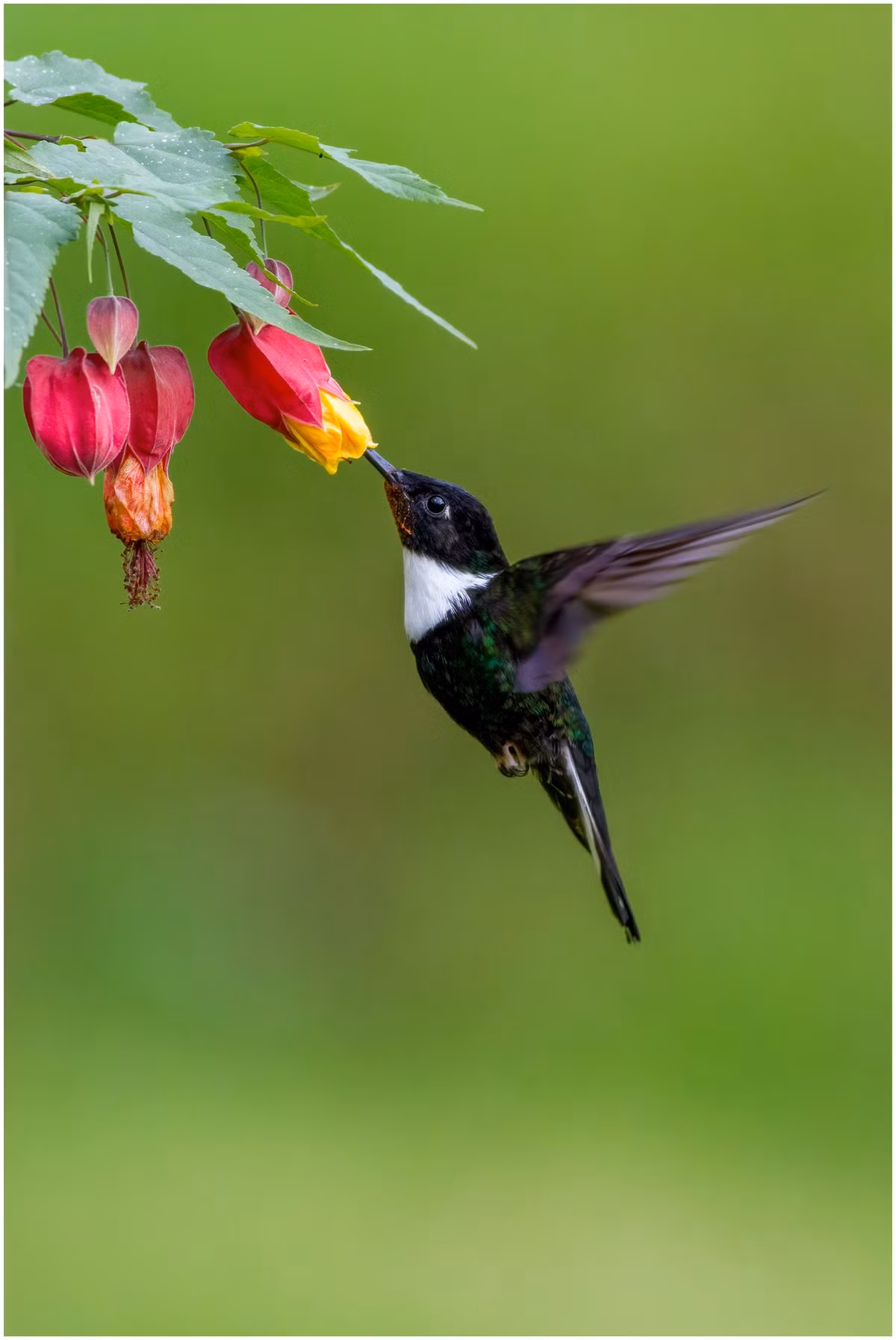 Nguoi sinh ngay Am lich nay co so 'ngam thia vang'-Hinh-2