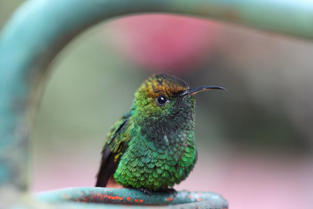 Nguoi sinh ngay Am lich nay co so 'ngam thia vang'-Hinh-6