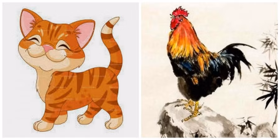 Mặc dù tính cách hai người có sự khác biệt, nhưng thực tế đã cho thấy nhiều cặp vợ chồng tuổi này sống với nhau rất hòa thuận, sự ôn nhu của Dậu có thể kiềm chế sự tự do, làm tăng tính trách nhiệm của Mão, và ngược lại chính sự lạc quan của Mão lại mang đến niềm cảm hứng cho Dậu.