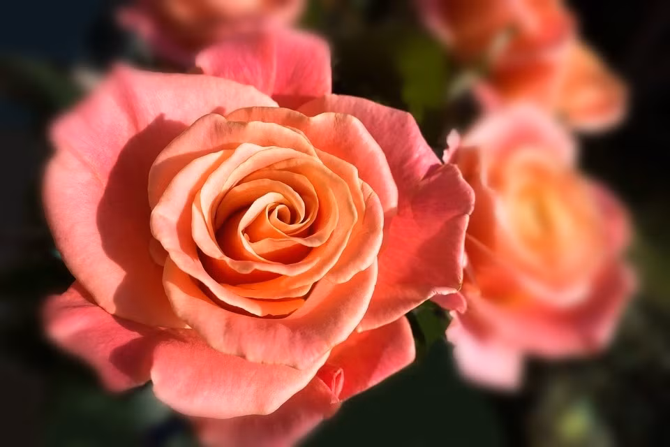 Ai sinh vao 4 ngay Am lich nay, ve gia phuc duc day nha-Hinh-2