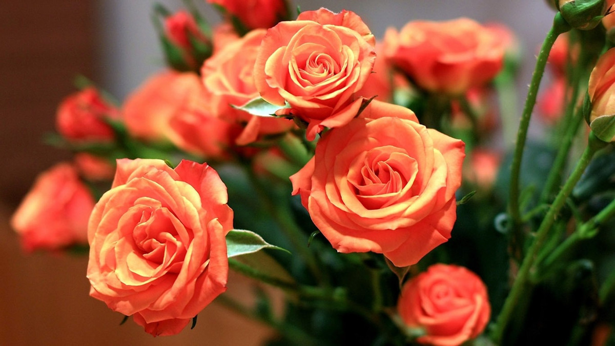 Ai sinh vào 4 ngày Âm lịch này, về già phúc đức đầy nhà Ai sinh vao 4 ngay Am lich nay, ve gia phuc duc day nha