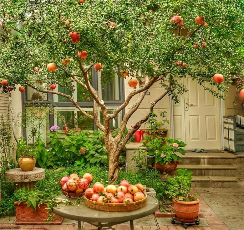  Quả lựu còn mang ý nghĩa tốt đẹp là đông con nhiều cháu. Ngày xưa, khi người dân nông thôn cưới hỏi có thể thấy hoa văn quả lựu trên song cửa sổ, trên gối. Theo người xưa, trồng cây lựu ở trước nhà mang ý nghĩa cầu chúc cho gia đình ngày một giàu sang sung túc, hạnh phúc, bình an.