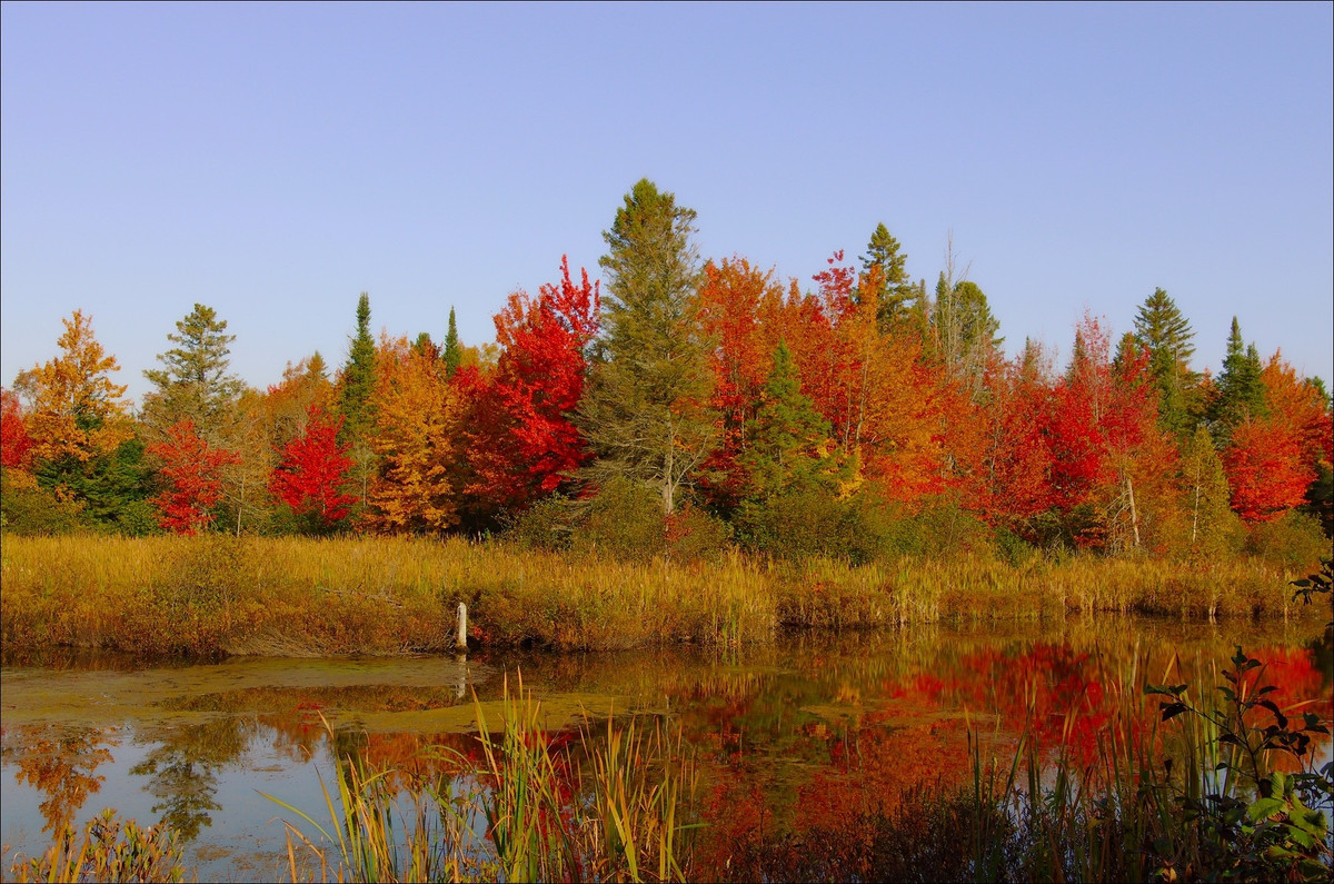 Ai sinh ngày Âm lịch này trẻ chông gai, già mật ngọt - Hình 2 Ai sinh ngay Am lich nay tre chong gai, gia mat ngot-Hinh-2