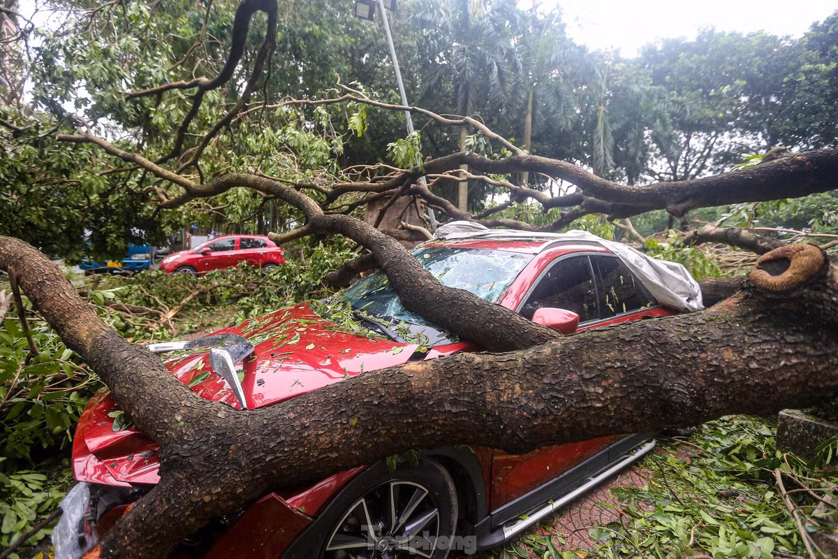 Hàng loạt ô tô bị bẹp dí sau bão Yagi.