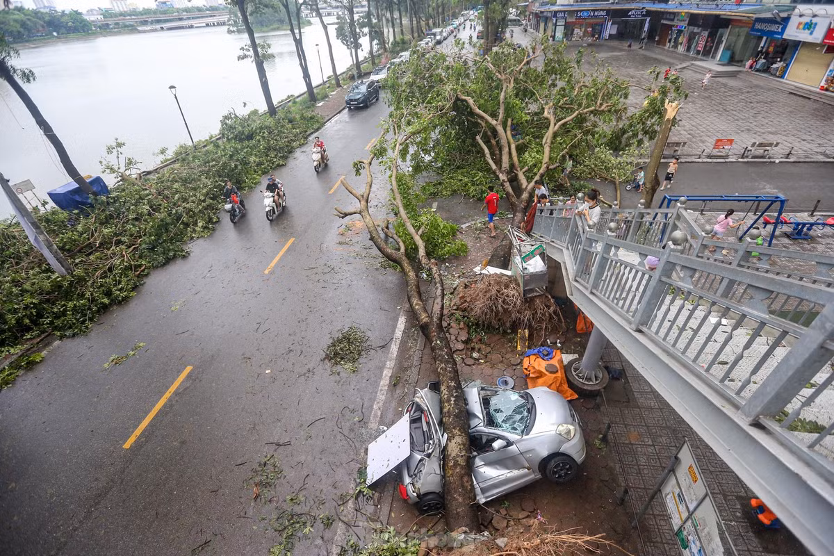 Cảnh hoang tàn tại khu chung cư HH Linh Đàm.