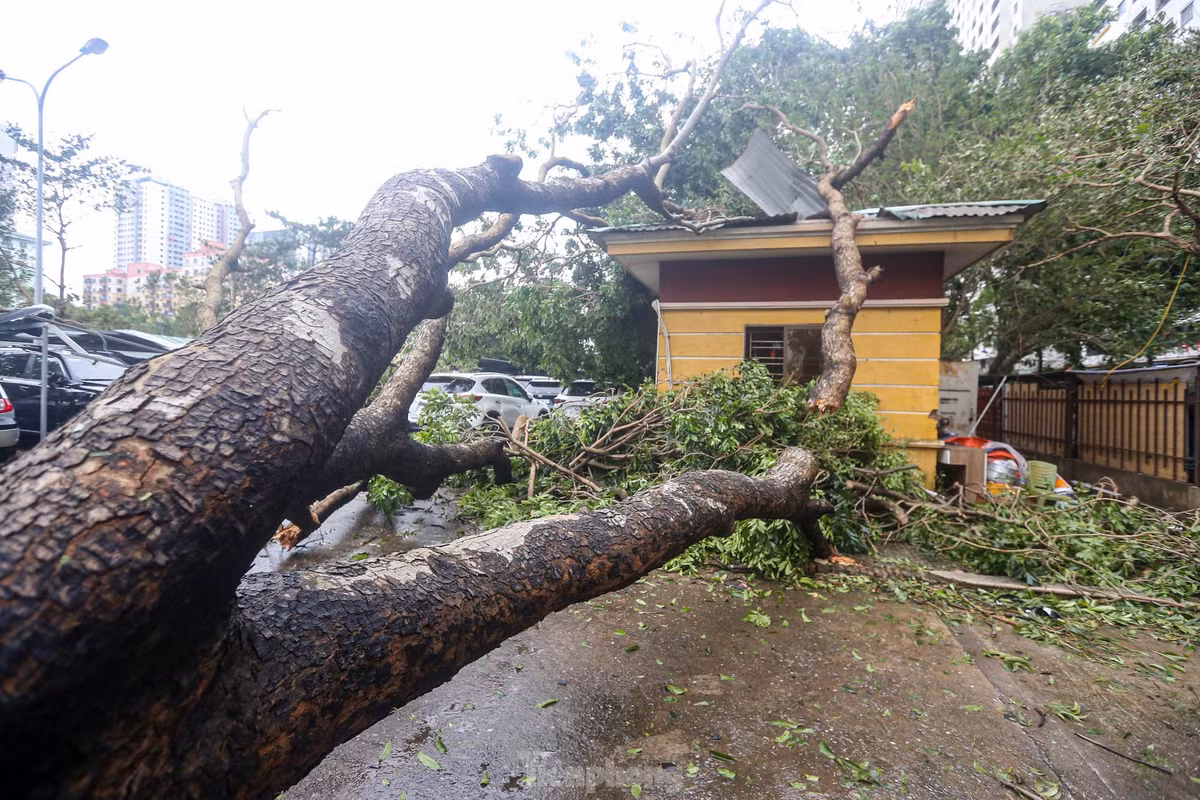 Một bãi đỗ xe trong khu đô thị Linh Đàm bị đổ sập.