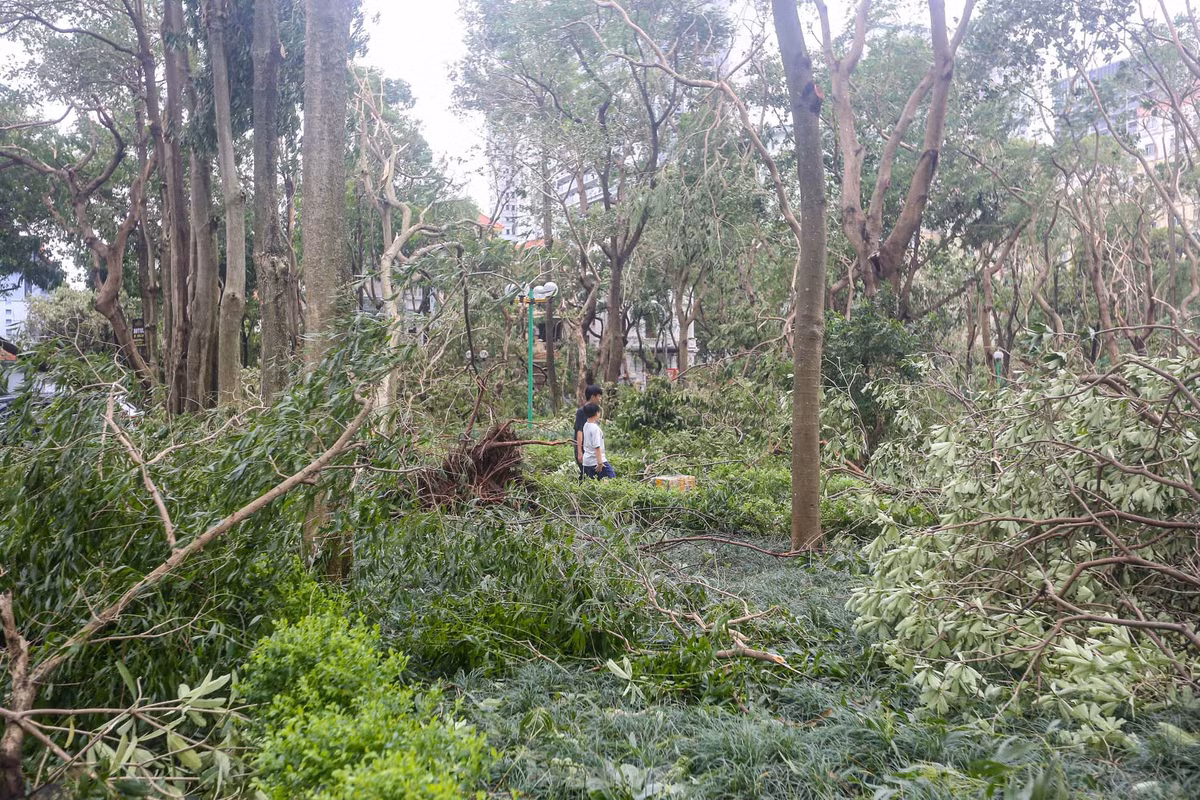 Khu vườn hoa, công viên trong khu đô thị đều tan hoang.