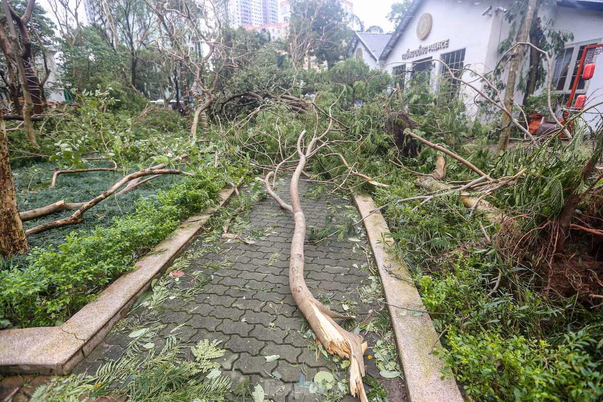 Các lối đi trong công viên đều bị chặn, cây gãy đổ hàng loạt.