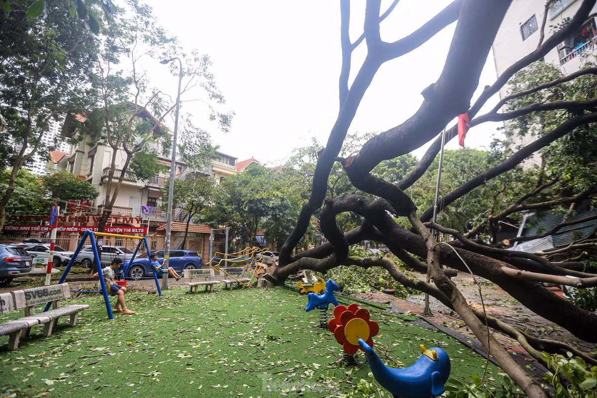 Cây gãy đổ vào khu vui chơi dành cho trẻ em.