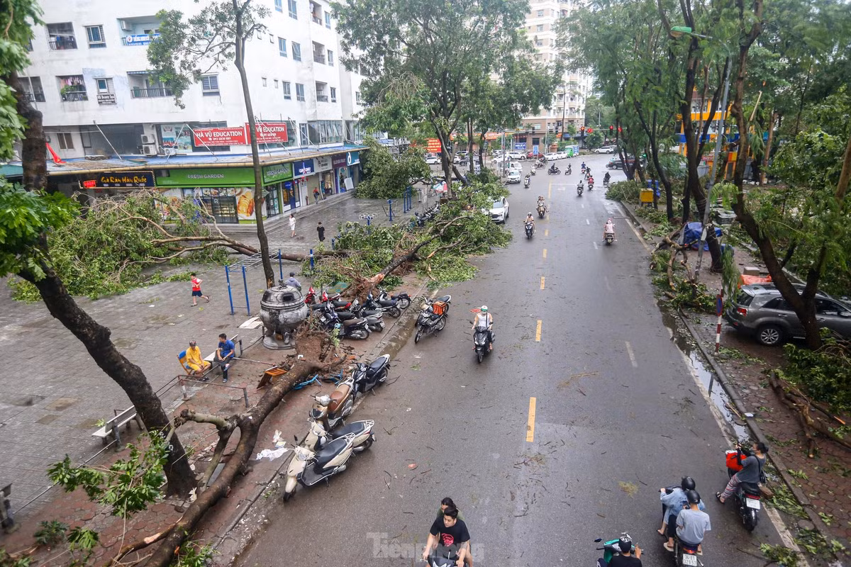 Ghi nhận của PV, khu đô thị Linh Đàm (quận Hoàng Mai), khu vực có mật độ dân cư dày nhất Thủ đô trở nên tan hoang, cây đổ hàng loạt, cuộc sống sinh hoạt của nơi vạn dân bị ảnh hưởng.