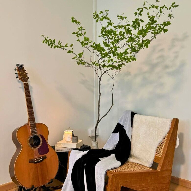  Trồng cây thạch nam tại nhà không hề khó, bạn có thể nhân giống bằng phương pháp giâm cành. Hãy lấy những cành khỏe mạnh, có ít nhất 2-3 bộ lá để nhân giống, giúp tăng tỷ lệ bén rễ của cây.