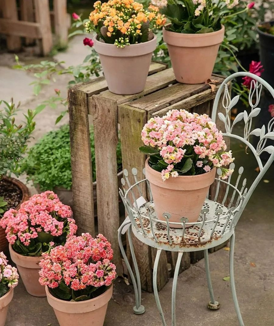 Một khi trong phòng khách có quá ít ánh nắng sẽ không thích hợp để phát triển. Cây cảnh sẽ không nở hoa hoặc mọc dài ra, lá không bóng mượt, tươi tốt, màu sắc hoa kém tươi. Điều này mang lại sự ủ dột, thiếu sức sống, khó thu hút tài lộc cho gia đình. 