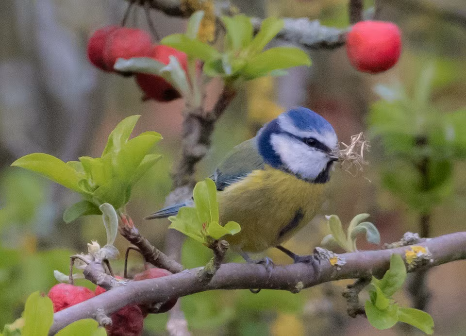 Nguoi sinh thang Am lich nay, ca doi dat ca danh lan loc-Hinh-2