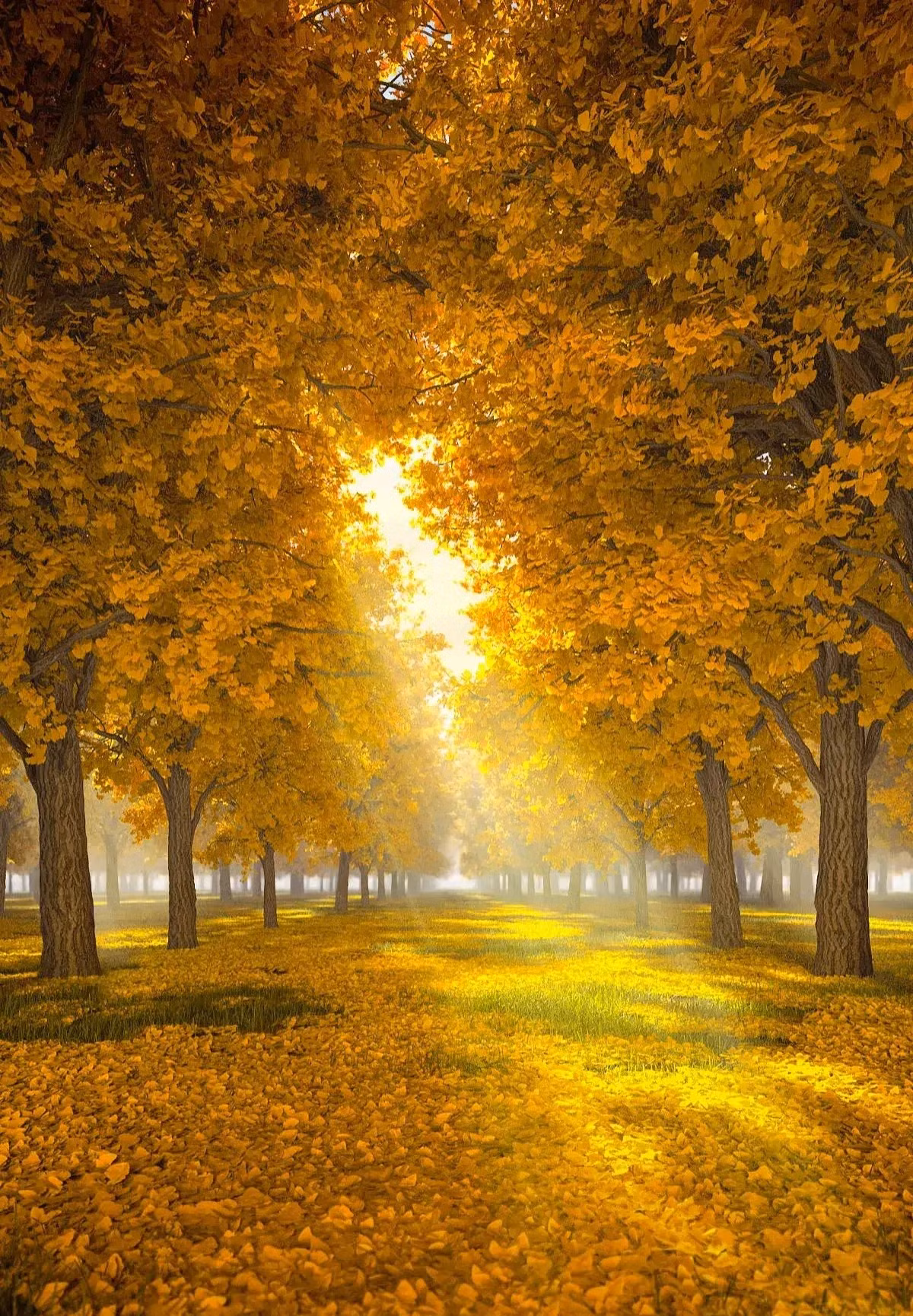 Ngày sinh Âm lịch cát tường, càng già càng nhiều phước lành - Hình 6 Ngay sinh Am lich cat tuong, cang gia cang nhieu phuoc lanh-Hinh-6