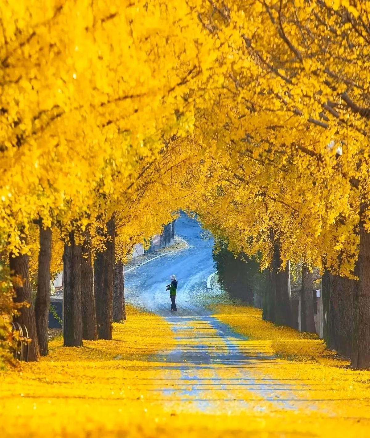 Ngày sinh Âm lịch cát tường, càng già càng nhiều phước lành - Hình 8 Ngay sinh Am lich cat tuong, cang gia cang nhieu phuoc lanh-Hinh-8