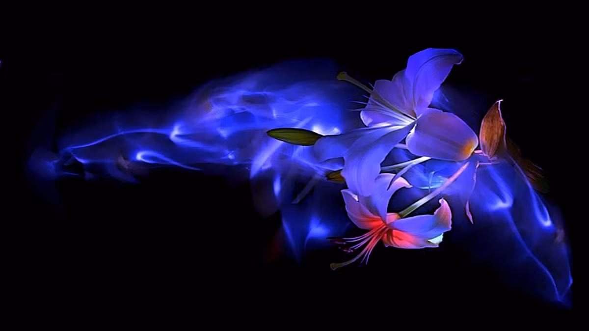 Người sinh vào 5 ngày Âm lịch này, vô số tài lộc, phú quý - Hình 4 Nguoi sinh vao 5 ngay Am lich nay, vo so tai loc, phu quy-Hinh-4