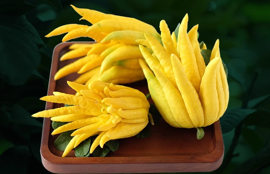  Bề ngoài của quả chia nhánh trông như bàn tay Phật do đó nhiều người cho rằng loại quả này là quả linh thiêng và thường dùng để thờ cúng. Lá Phật thủ màu xanh đậm, quả màu vàng, mùi thơm nồng nàn. 