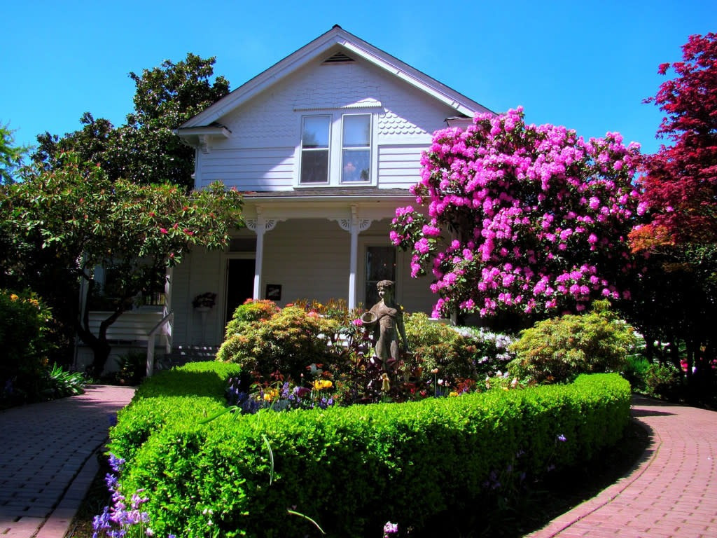 Đồng thời tưới nước trong thời gian hạn hán kéo dài. Cho ăn hàng năm bằng phân bón cân đối, không có hàm lượng nitơ cao. Tạo cho chúng không gian hợp lý khi trồng nhiều bụi và cắt tỉa hàng năm.