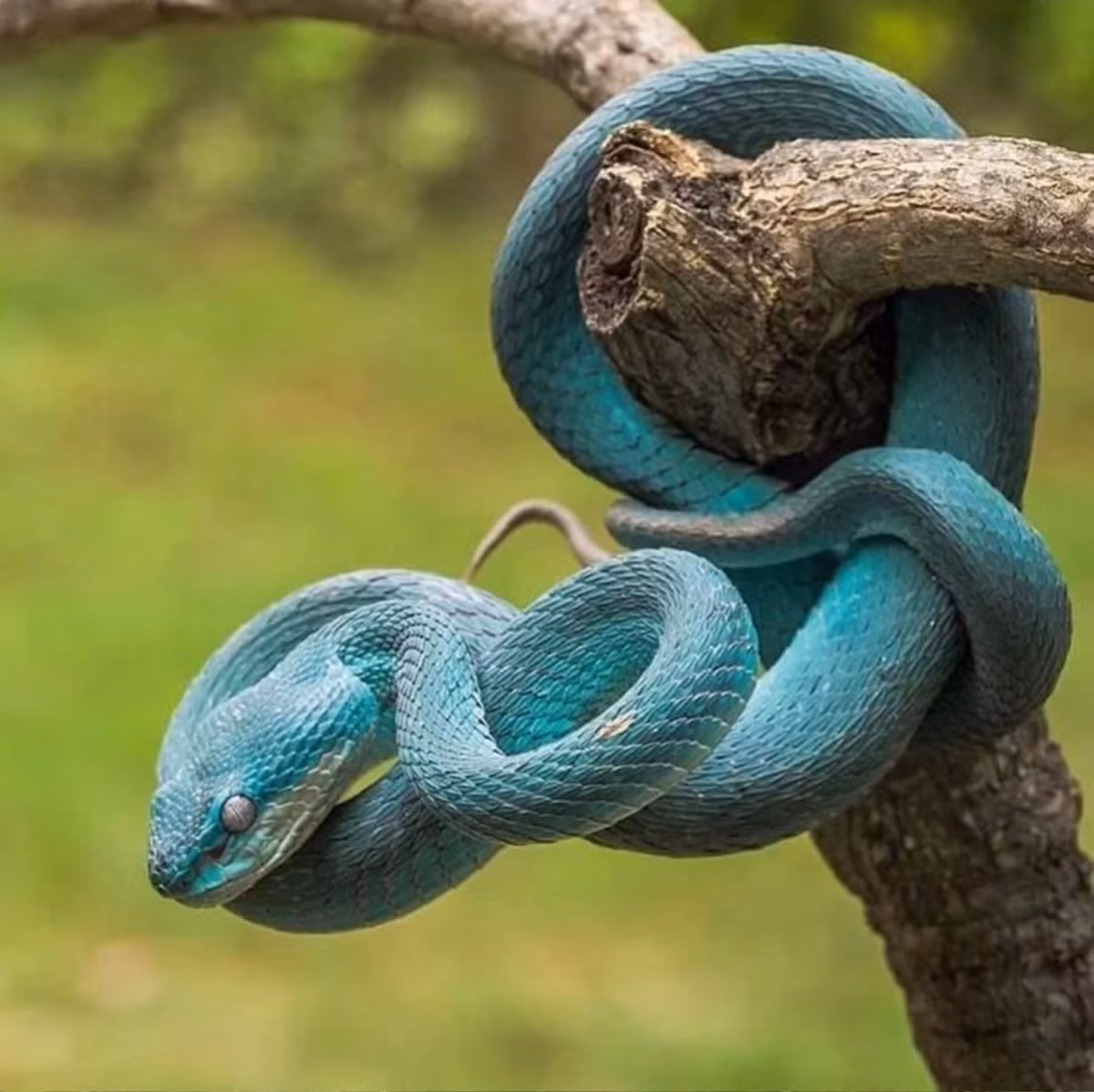 Co nhan noi: '6 diem lanh den cua, gia dinh don tin vui'-Hinh-2
