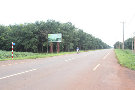 Khu vực Bảo tàng Khoa học dự tính xây dựng. Khu vực Bảo tàng Khoa học dự tính xây dựng.