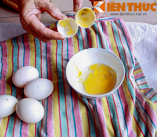 Trứng không có mùi tanh mà có mùi rất lạ, bên trong lòng đỏ không tạo được hình cầu. Ảnh: Nguyễn Văn Hà.