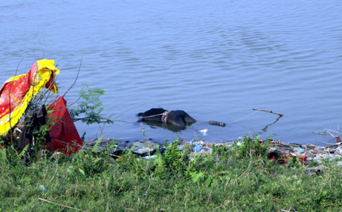 Khu vực phát hiện xác chết nạn nhân nổi trên mặt sông Hồng.