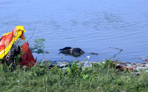 Khu vực phát hiện xác chết nạn nhân nổi trên mặt sông Hồng.