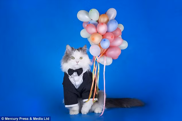 Nhiếp ảnh gia Svetlana Valyiskaya phải mất 6 năm mới có thể chụp được bộ ảnh như thế này.