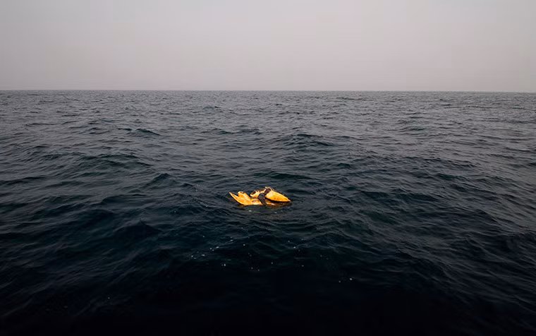 Cặp rùa biển giao phối tại khu vực cửa sông Rushikulya ở Ganjam, Ấn Độ.