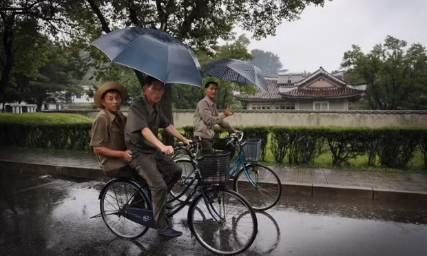 Những người đàn ông đạp xe dưới mưa qua nông trường Mangyongdae, Bình Nhưỡng.