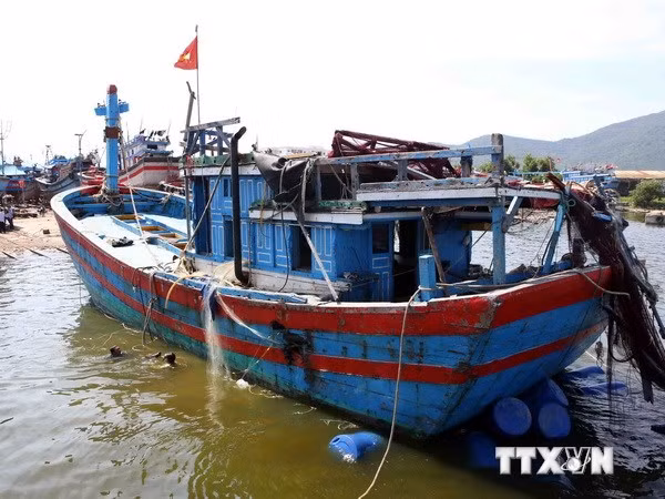 Ảnh minh họa. Nguồn: Lê Lâm/TTXVN