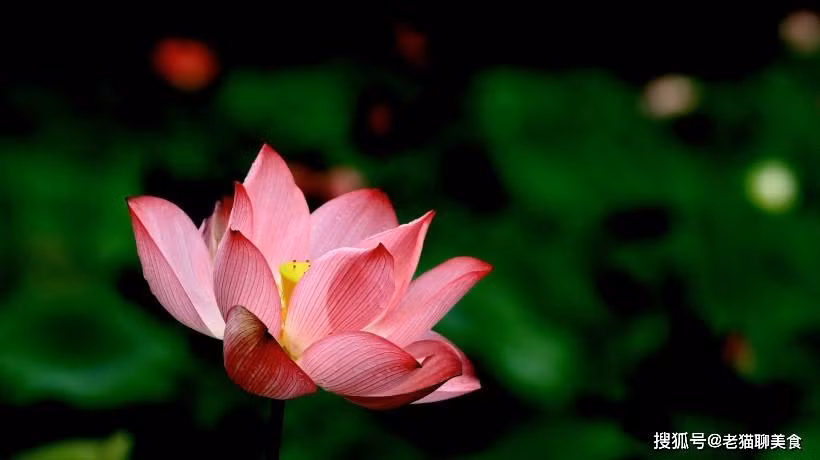 Ngay sinh Am lich ket thuc bang 3 so vang muoi, som giau sang-Hinh-2